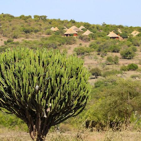 Africa Safari Maasai Boma Camping Hotel Serengeti Exterior photo